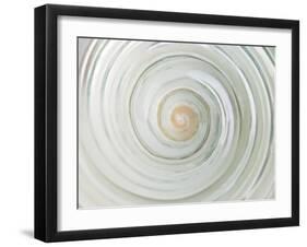 Shell Twist-Assaf Frank-Framed Giclee Print