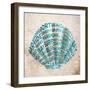 Shell Type I-null-Framed Premium Giclee Print