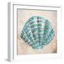 Shell Type I-null-Framed Premium Giclee Print