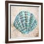 Shell Type I-null-Framed Art Print