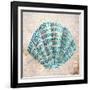 Shell Type I-null-Framed Art Print