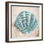 Shell Type I-null-Framed Art Print