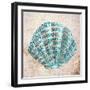 Shell Type I-null-Framed Art Print