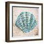 Shell Type I-null-Framed Art Print