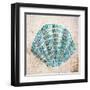 Shell Type I-null-Framed Art Print