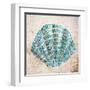 Shell Type I-null-Framed Art Print