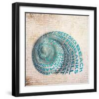 Shell Type II-null-Framed Art Print