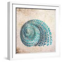 Shell Type II-null-Framed Art Print