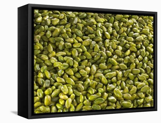 Shelled Pistachios-Karl Newedel-Framed Stretched Canvas