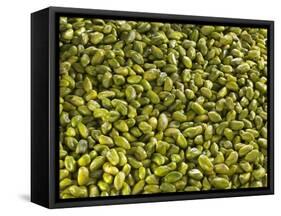 Shelled Pistachios-Karl Newedel-Framed Stretched Canvas