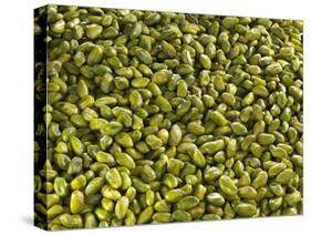 Shelled Pistachios-Karl Newedel-Stretched Canvas