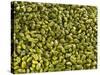 Shelled Pistachios-Karl Newedel-Stretched Canvas