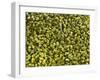 Shelled Pistachios-Karl Newedel-Framed Photographic Print