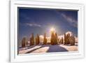 Gramercy White