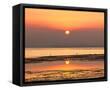 Framed Canvas