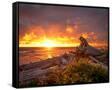 Canvas Black