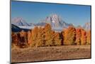 Wood Mount