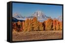 Canvas Black