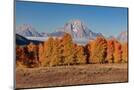 Wood Mount