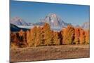Wood Mount