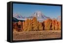 Canvas Black