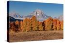 Stretched Canvas