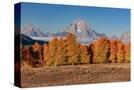Stretched Canvas