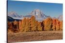 Stretched Canvas