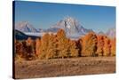 Stretched Canvas