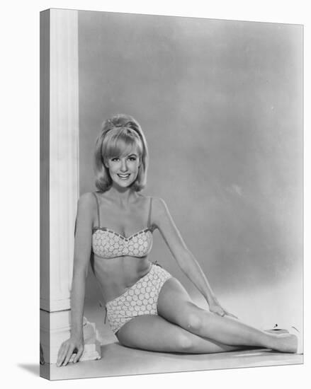 Shelley Fabares-null-Stretched Canvas