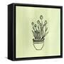 Canvas Black