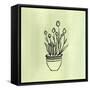 Canvas Black