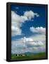 Essential Black