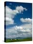 Stretched Canvas