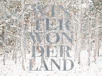 Winter Wonderland-Shelley Lake-Art Print
