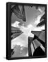 Essential Black