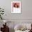 Shelley Long-null-Framed Photo displayed on a wall