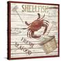 Shellfish I-Karen Williams-Stretched Canvas
