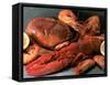 Shellfish Still Life-Steven Morris-Framed Stretched Canvas