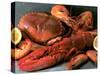 Shellfish Still Life-Steven Morris-Stretched Canvas