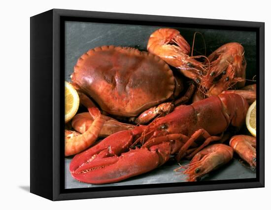 Shellfish Still Life-Steven Morris-Framed Stretched Canvas