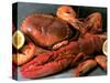 Shellfish Still Life-Steven Morris-Stretched Canvas