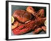 Shellfish Still Life-Steven Morris-Framed Photographic Print