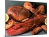 Shellfish Still Life-Steven Morris-Mounted Photographic Print