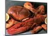 Shellfish Still Life-Steven Morris-Mounted Photographic Print