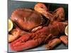 Shellfish Still Life-Steven Morris-Mounted Photographic Print