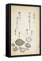 Shellfish-Katsuma Ryusai-Framed Stretched Canvas