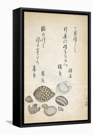 Shellfish-Katsuma Ryusai-Framed Stretched Canvas