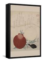 Shellfish-Totoya Hokkei-Framed Stretched Canvas
