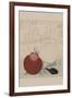 Shellfish-Totoya Hokkei-Framed Art Print